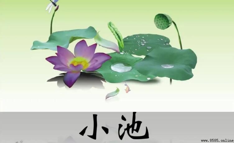 樹陰照水愛晴柔的上一句是什麼