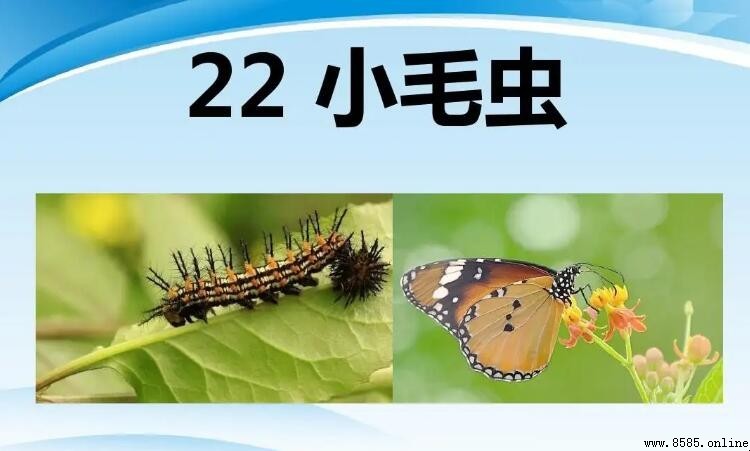 《小毛虫》告诉我们的道理