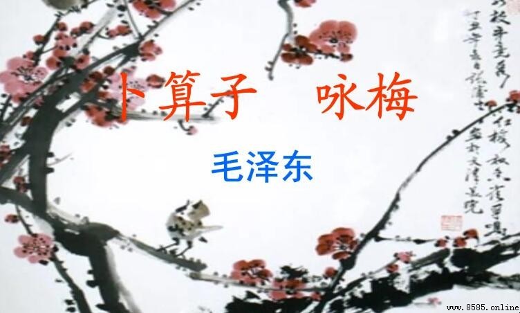 猶有花枝俏上一句是什麼
