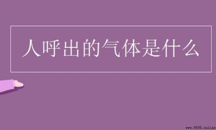 人呼出的氣體是什麼