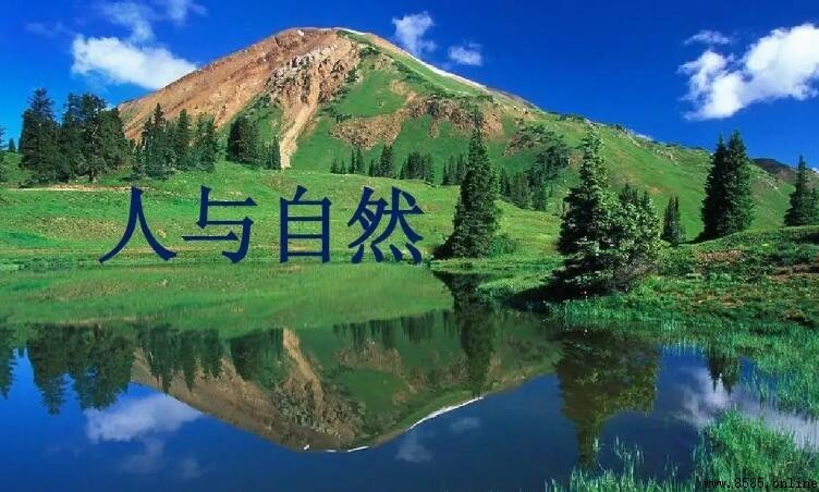 如何撰写关于人与自然的作文：范文与思考