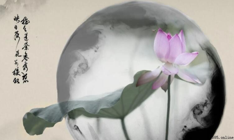 《曲池荷》的作者是誰