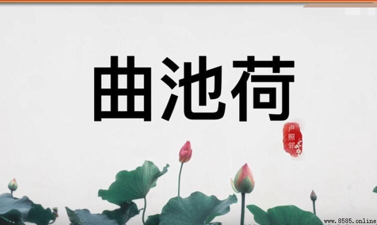 《曲池荷》的創作背景與詩詮解析