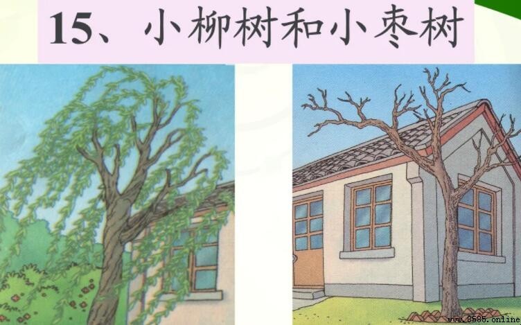 《小柳树和小枣树》读后感写作指南