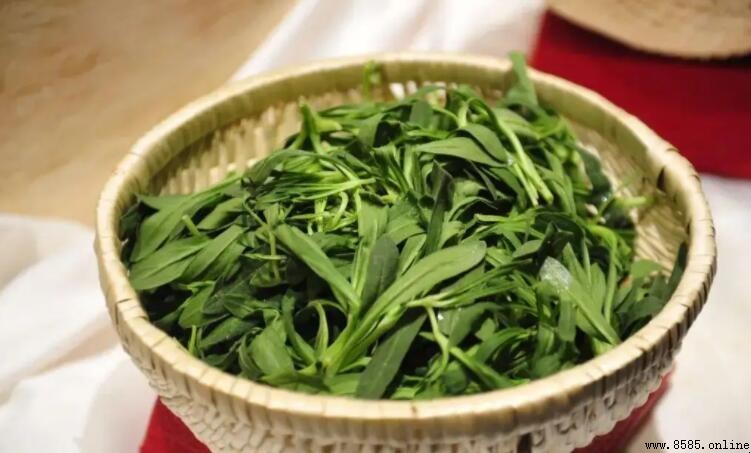 麵條菜是什麼菜？全面解析其來源、特點與食用價值