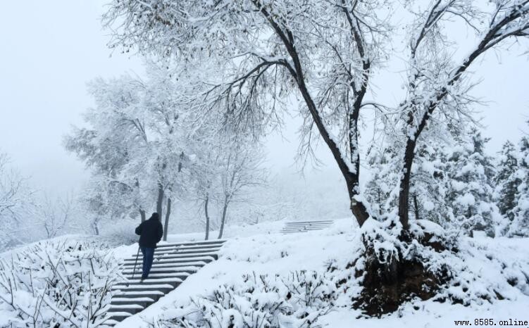 下雪唯美好句摘抄集
