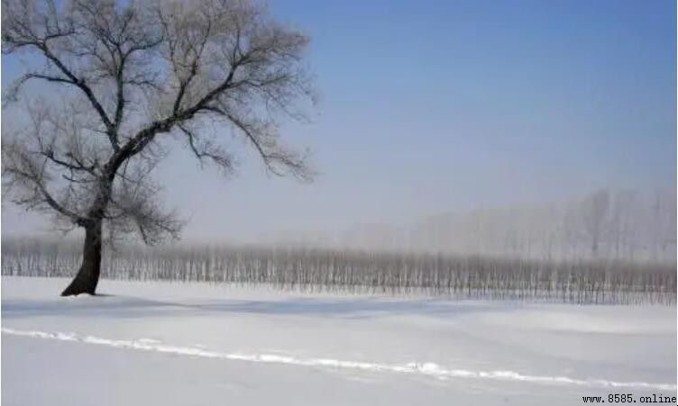 下雪發朋友圈的短句集錦：19句唯美文案與配圖指南