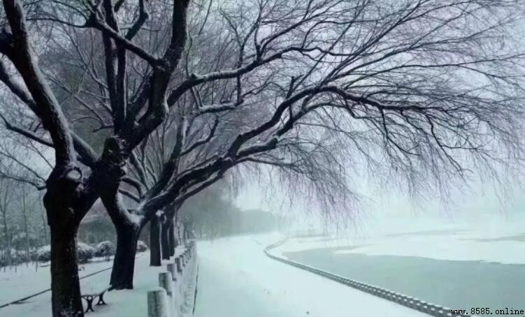 發朋友圈下雪幽默句子大分享