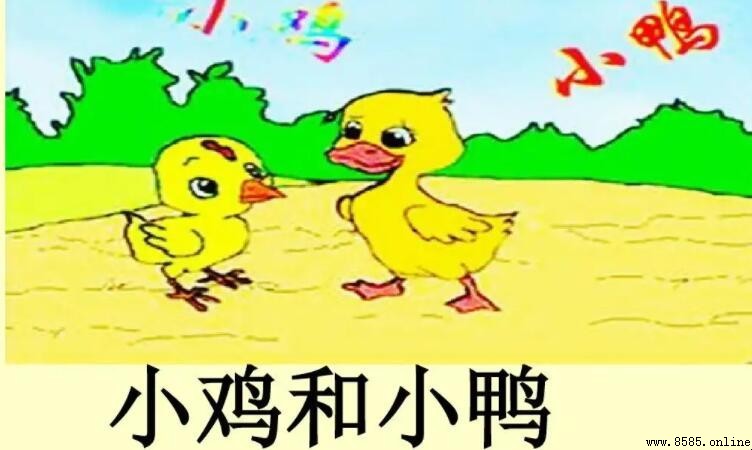 小鸡和小鸭作文写作指南与示例