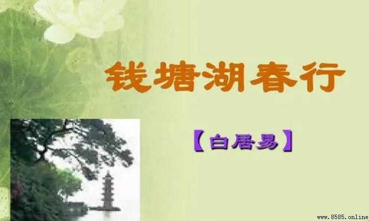 淺草才能沒馬蹄的意思與《錢塘湖春行》解析