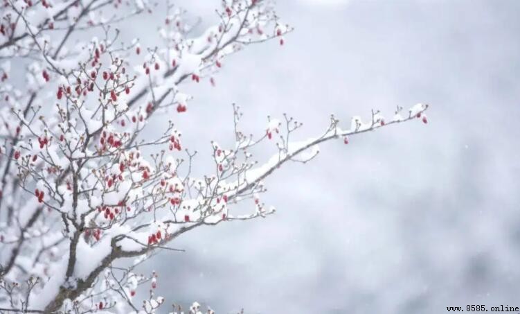 形容下雪的詩句集錦
