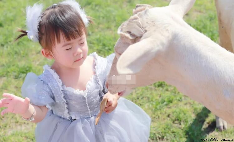 形容女兒小棉襖贊美詞彙總結