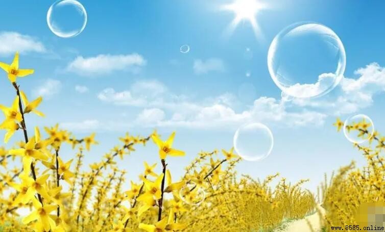 夏日經典名言警句：夏天的詩意與熱情