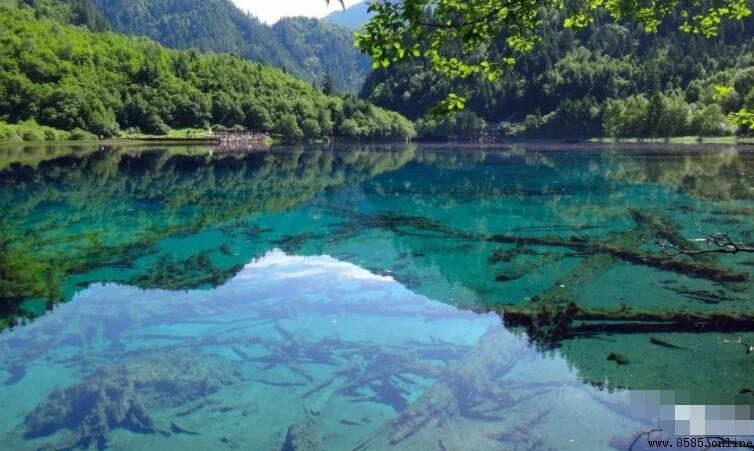 形容水清澈的句子集锦