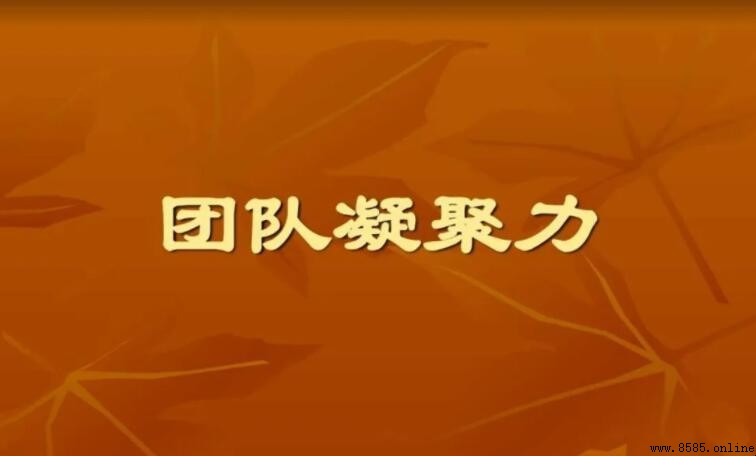形容團隊凝聚力的句子集