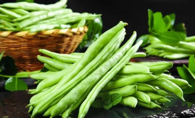 四季豆熱量高嗎?解析四季豆的營養價值與減肥建議