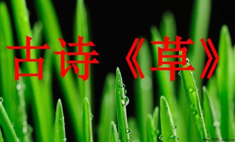 《賦得古原草送別》表達了怎樣的思想感情