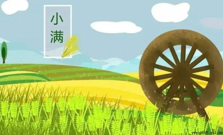 小滿习俗知多少:八項傳統與農耕文化