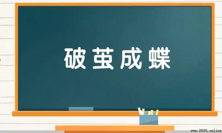 破繭成蝶的含義與象徵