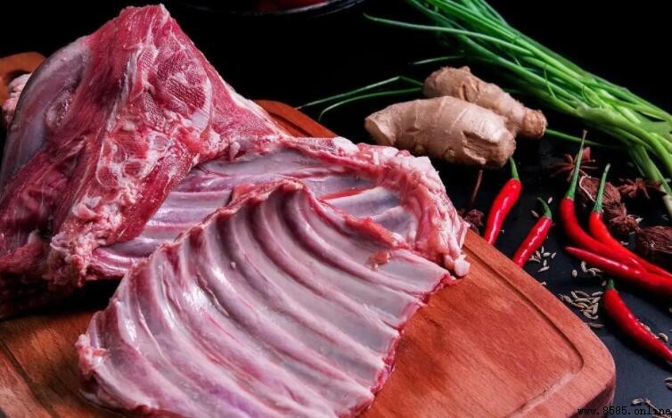 羊肉的相克食物有哪些