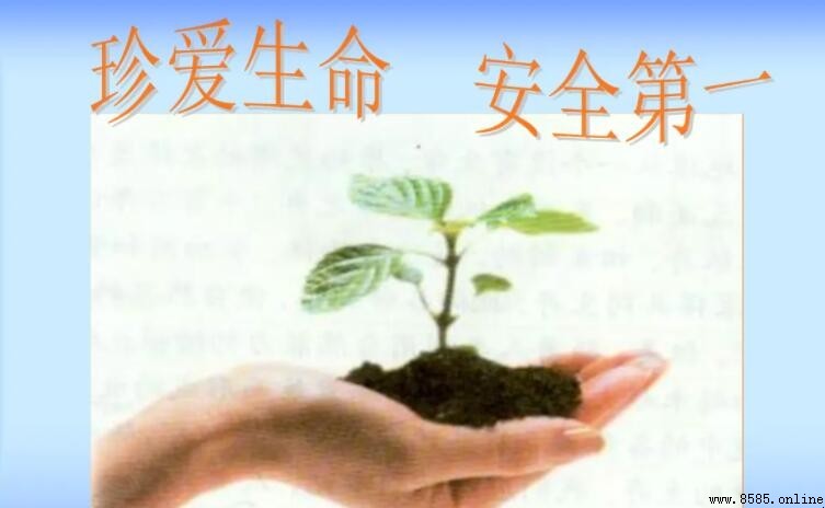 安全永驻我心作文怎么写