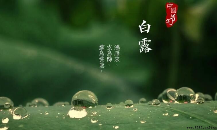 白露節氣詩句集:古詩中的秋意與時節之美