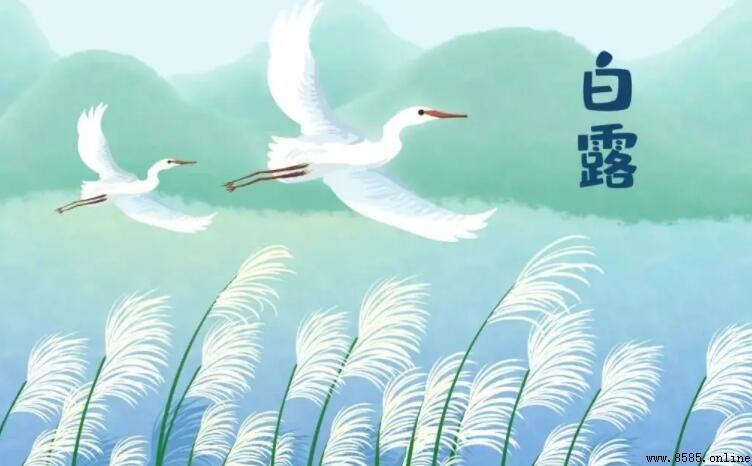 杜甫《白露》原文與譯文