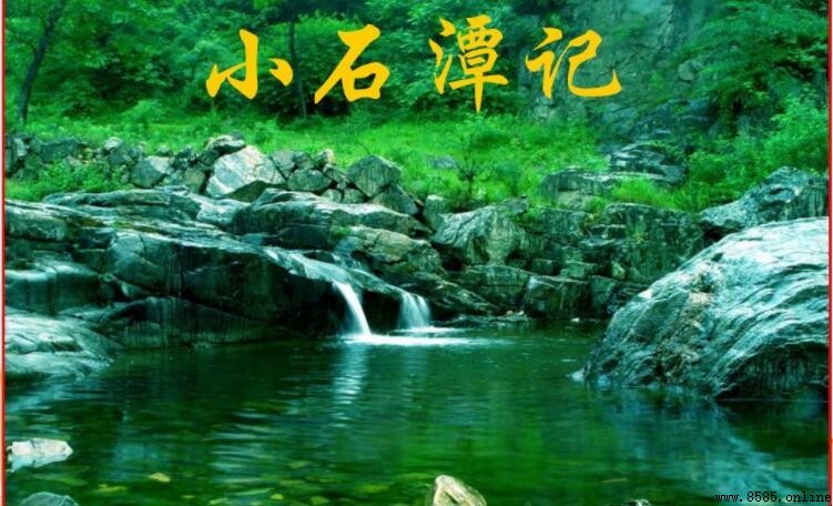 《小石潭記》「潭中魚可百許頭」解析:柳宗元筆下的空靈意境
