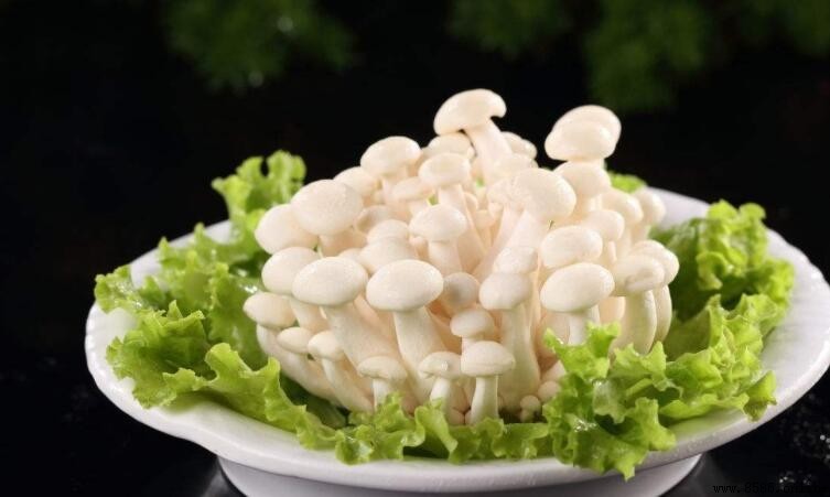 白玉菇不焯水有毒嗎?解答與營養價值