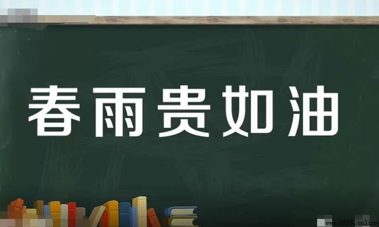 春雨貴如油的意思