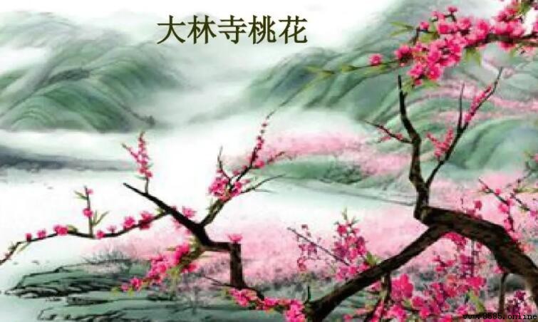 《大林寺桃花》前兩句寫法分析:對比手法表現春歸之喜