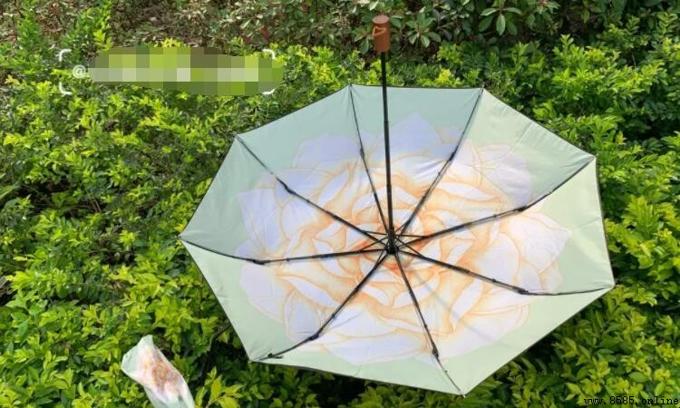 蕉下傘是哪國的牌子?揭秘國際品譽來源