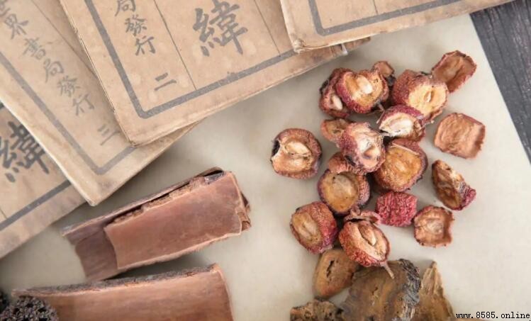 焦山楂與山楂的差異：功效與用途解析