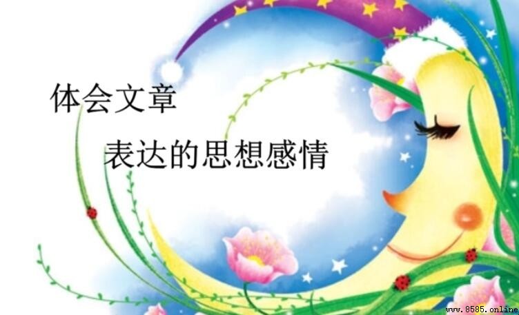 思想感情的含義與解析