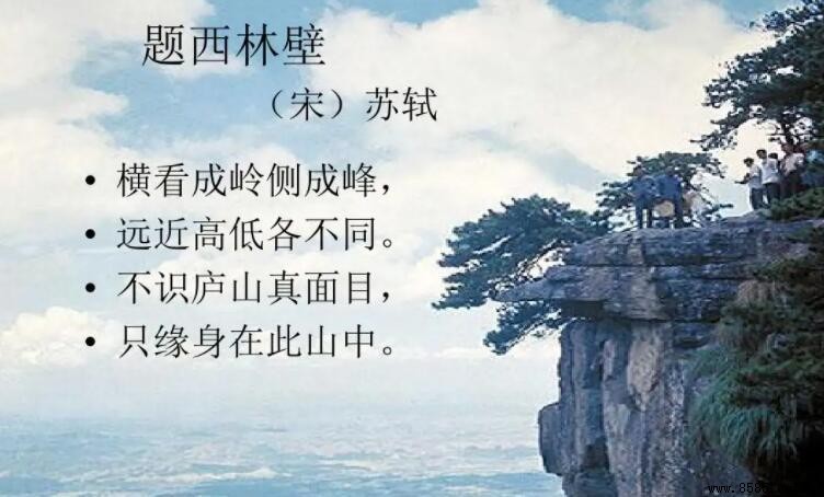 不识庐山真面目下一句是什么