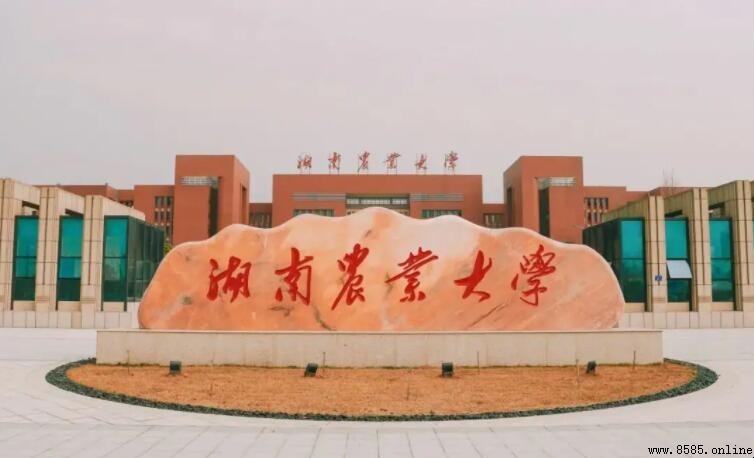 湖南农业大学是几本