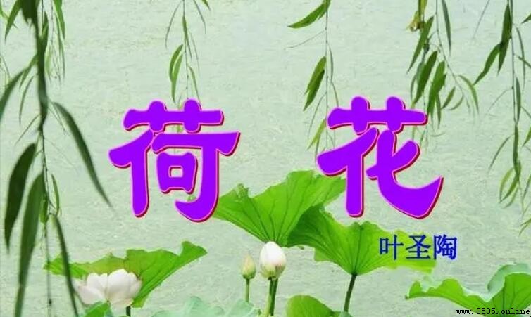 《荷花》原文及赏析