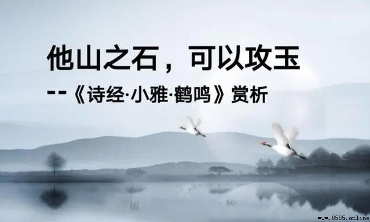「他山之石可以攻玉」出處是《小雅·鶴鳴》