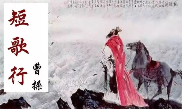 何以解憂,唯有杜康 的詩句含義解析