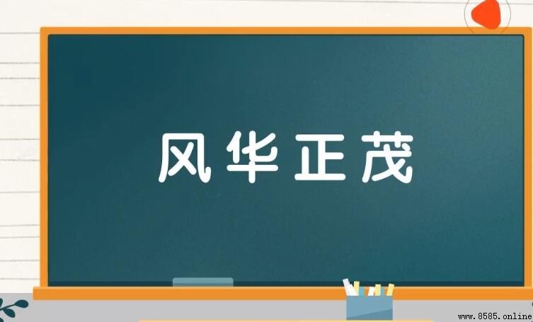 風華正茂造句指南：例句與用法解析