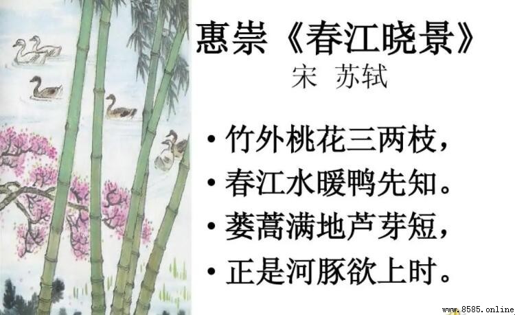 竹外桃花三两枝春江水暖鸭先知思想感情