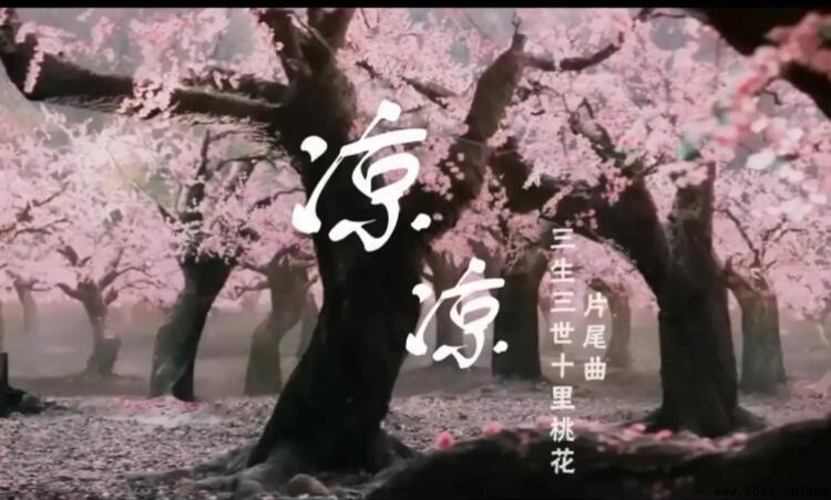 《凉凉》歌词解析