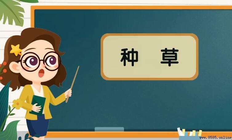 什麼是「種草」?網路流行語與使用情境解析
