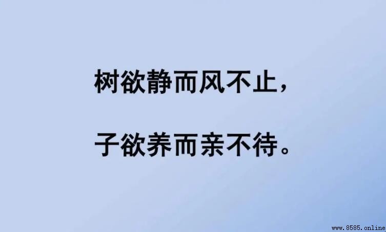 子欲養而親不待的上一句是什麼
