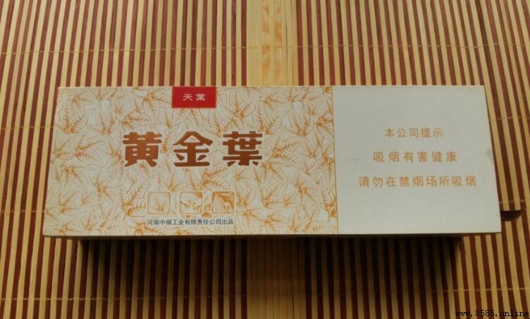 黃金葉天葉是哪裡生產的