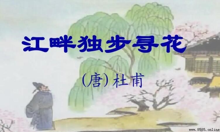 《江畔獨步尋花·其七》原文與譯文