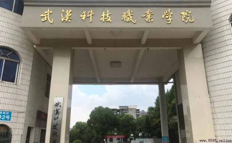 武汉科技职业学院是几本