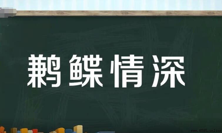鹣鲽情深的下一句有哪些