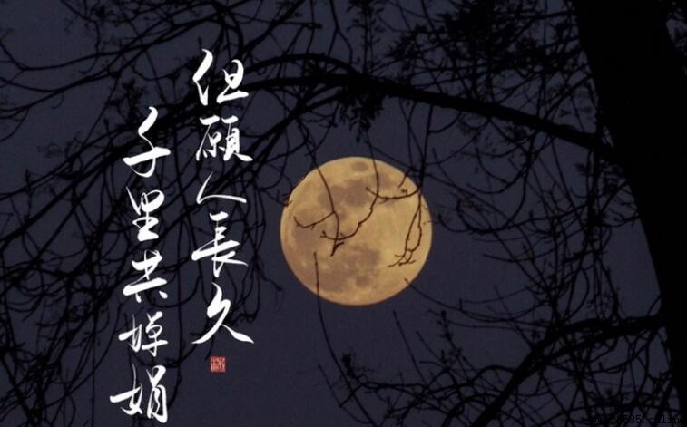 但愿人长久千里共婵娟的意思