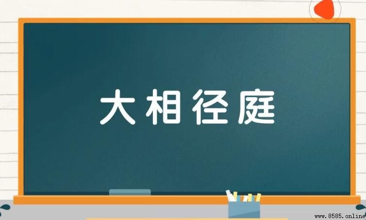 大相径庭怎么造句